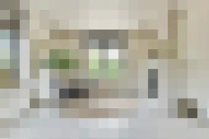 Dorpsstraat 16 Blaricum thumbnail 8