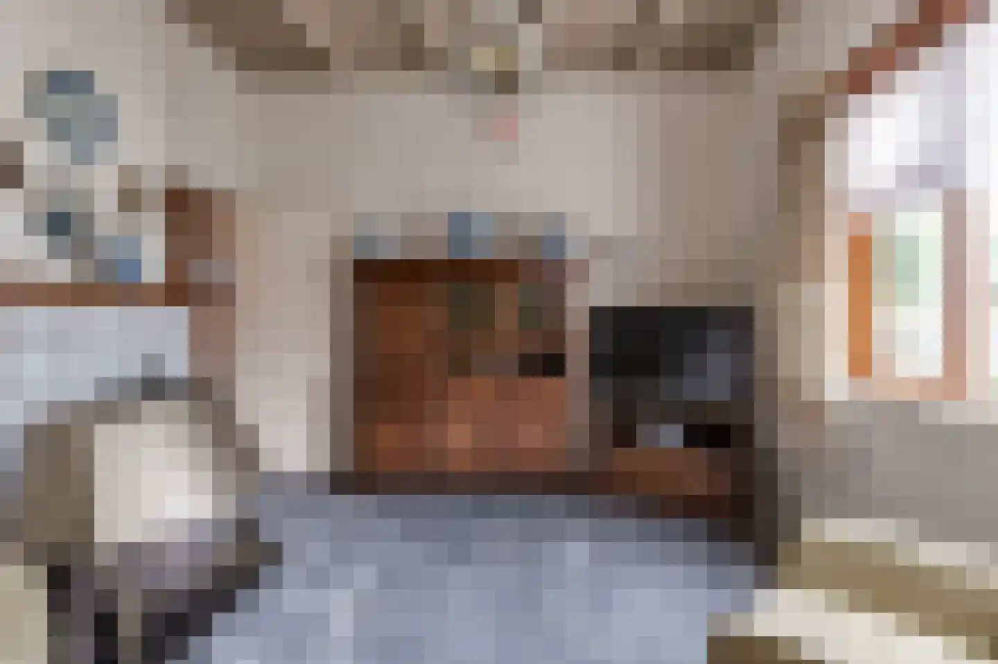 Dorpsstraat 16 Est thumbnail 11