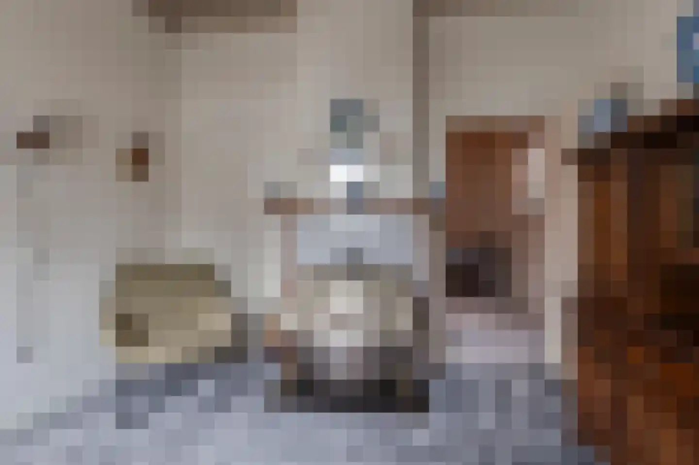 Dorpsstraat 16 Est thumbnail 12