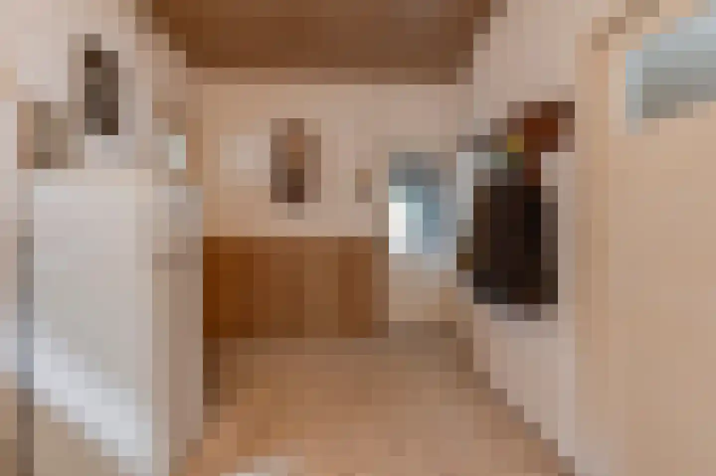 Dorpsstraat 16 Est thumbnail 14
