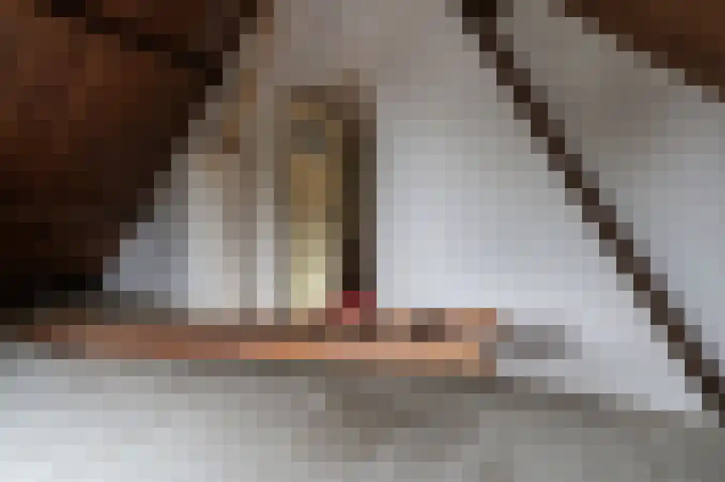 Dorpsstraat 16 Est thumbnail 18