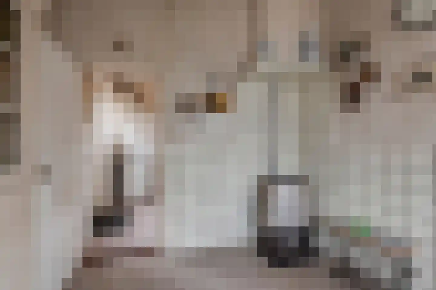 Dorpsstraat 16 Est thumbnail 7