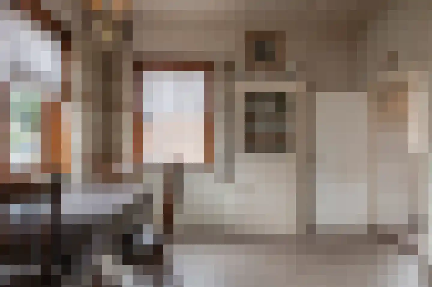 Dorpsstraat 16 Est thumbnail 8