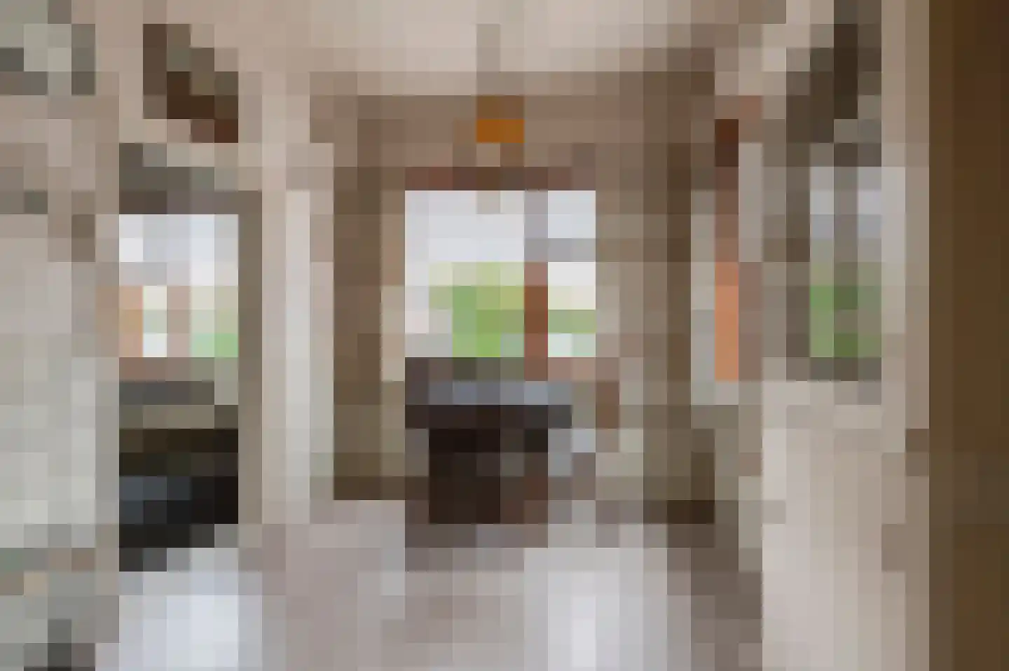 Dorpsstraat 16 Est thumbnail 9