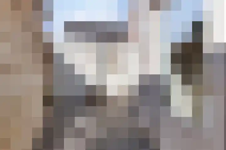 Dorpsstraat 16 Halsteren thumbnail 19