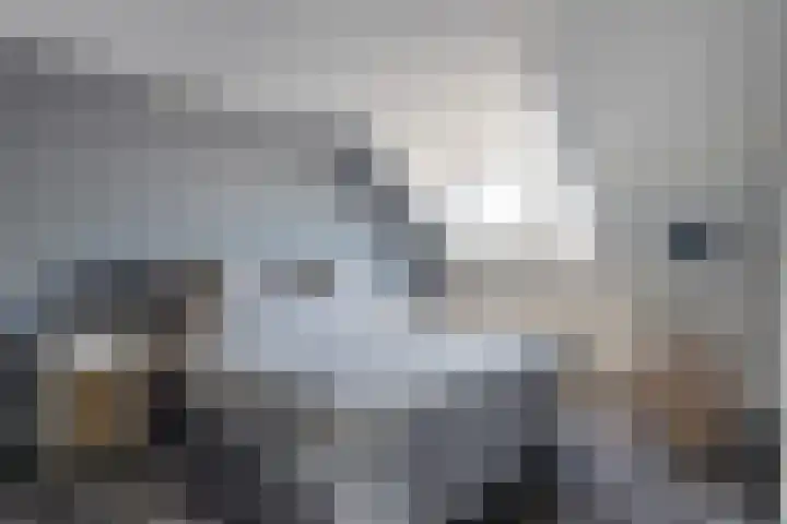 Dorpsstraat 16 Halsteren thumbnail 4