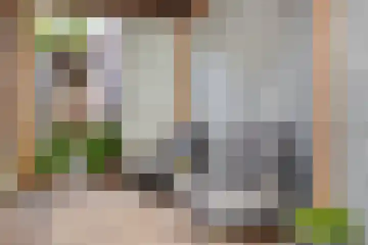 Dorpsstraat 16 Halsteren thumbnail 5