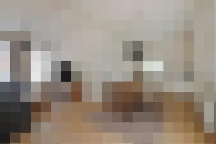 Dorpsstraat 16 Halsteren thumbnail 8
