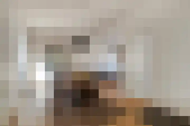 Dorpsstraat 16 Halsteren thumbnail 9