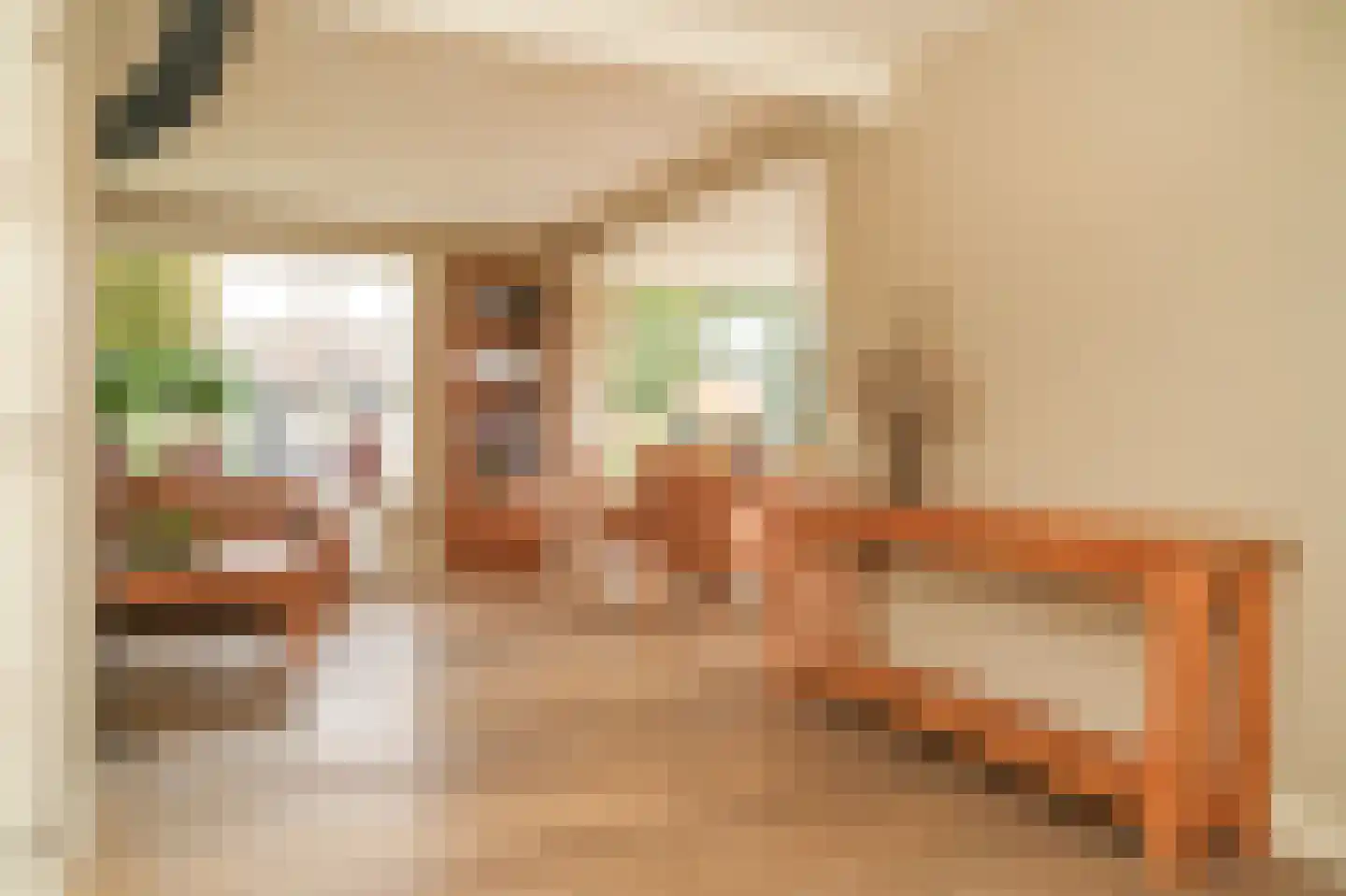 Dorpsstraat 16 IJzendoorn thumbnail 8