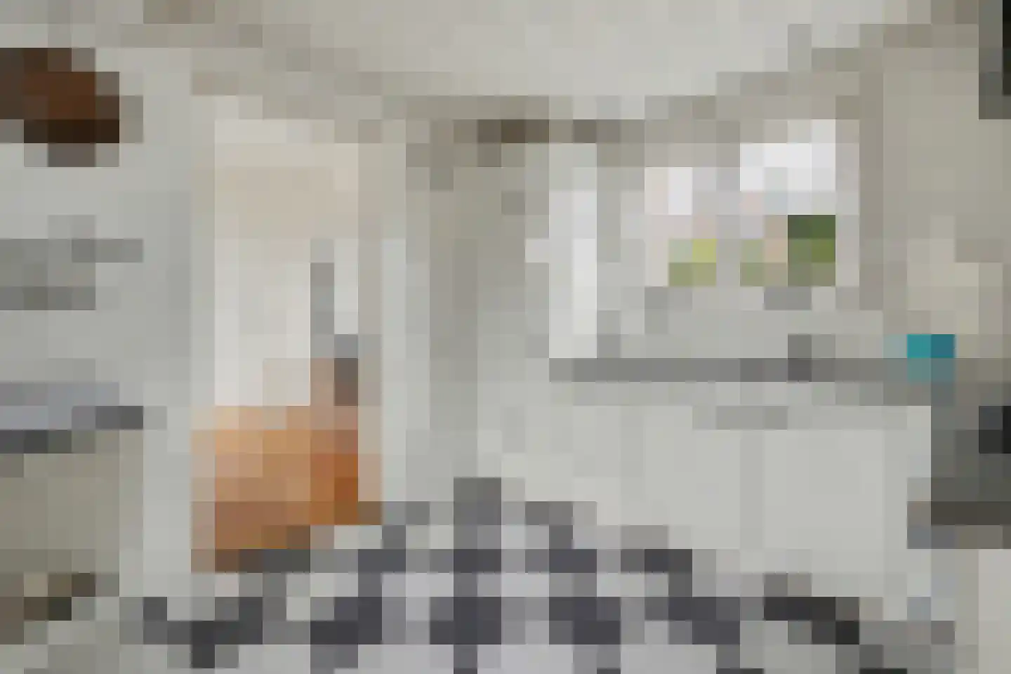 Dorpsstraat 16 Kattendijke thumbnail 12