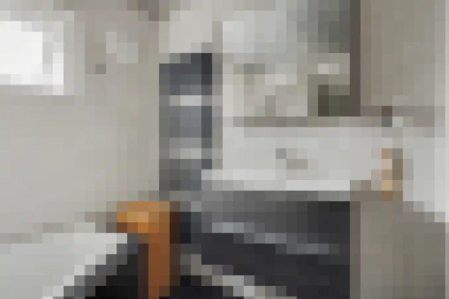 Dorpsstraat 16 Kattendijke thumbnail 13