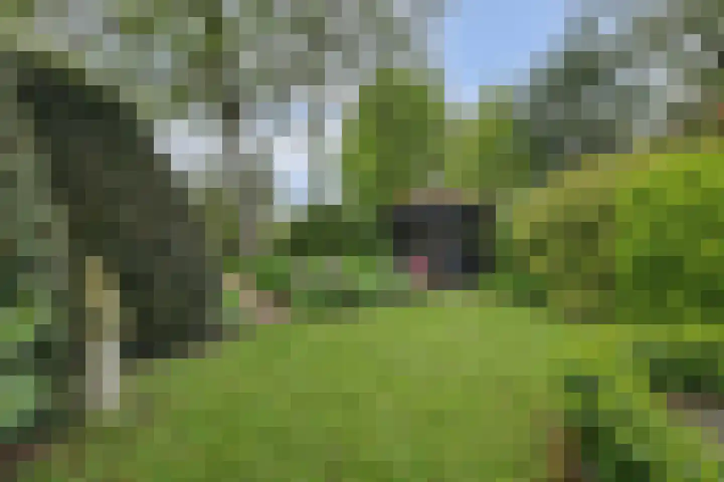 Dorpsstraat 16 Kattendijke thumbnail 23