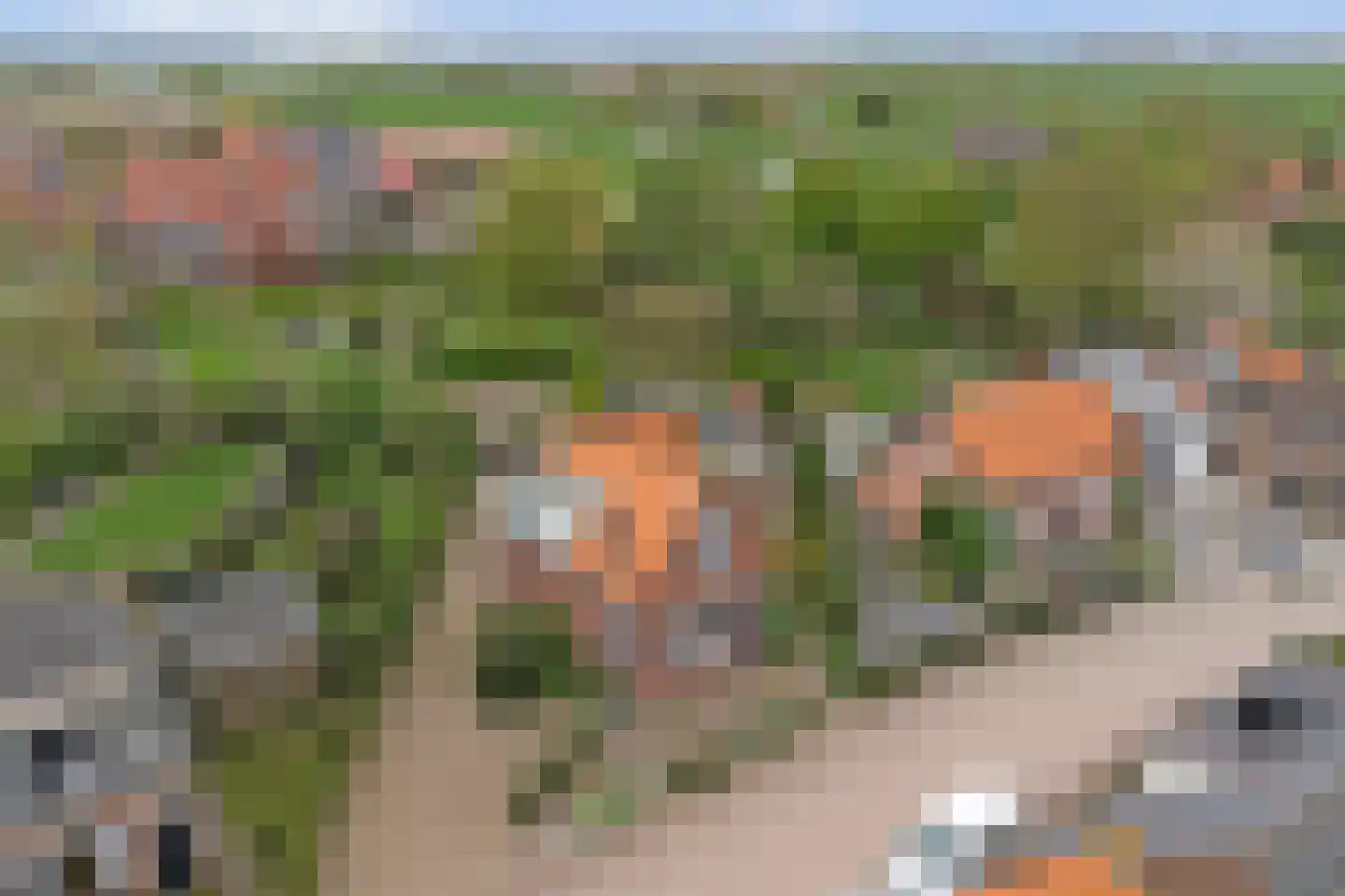 Dorpsstraat 16 Kattendijke thumbnail 4