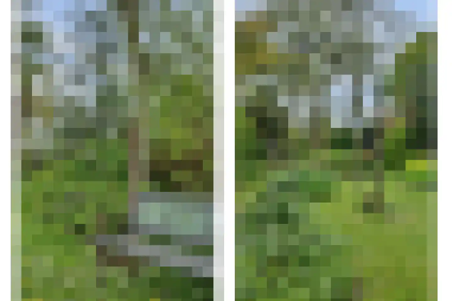 Dorpsstraat 16 Kattendijke thumbnail 5