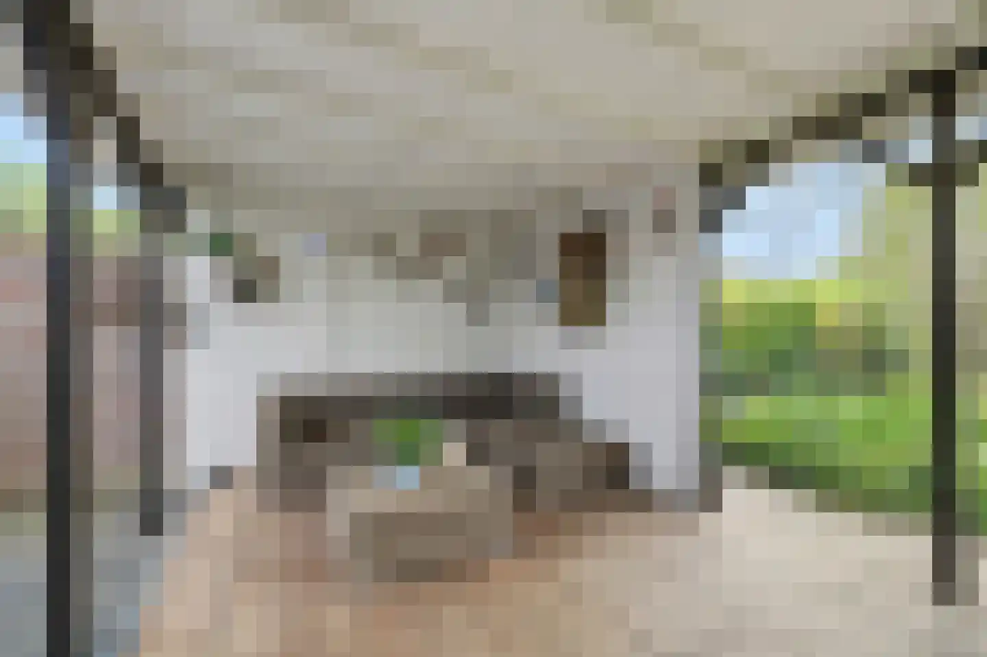 Dorpsstraat 16 Kattendijke thumbnail 6