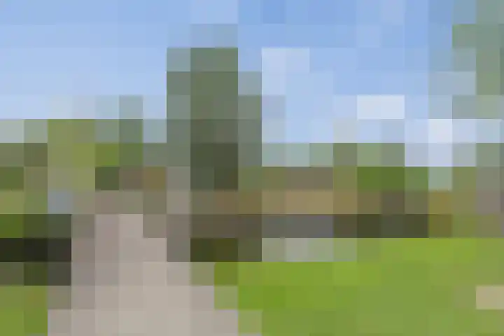 Dorpsstraat 16 Zegveld thumbnail 36