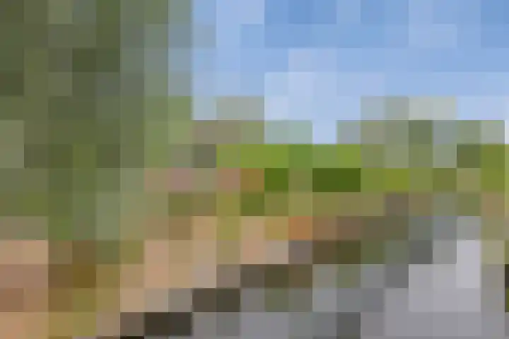 Dorpsstraat 16 Zegveld thumbnail 37