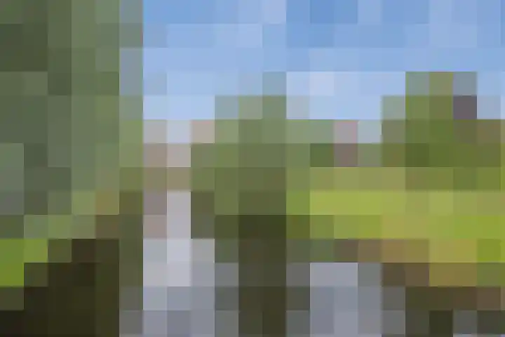 Dorpsstraat 16 Zegveld thumbnail 38