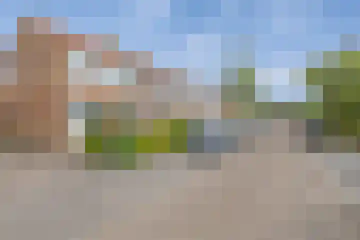 Dorpsstraat 16 Zegveld thumbnail 5