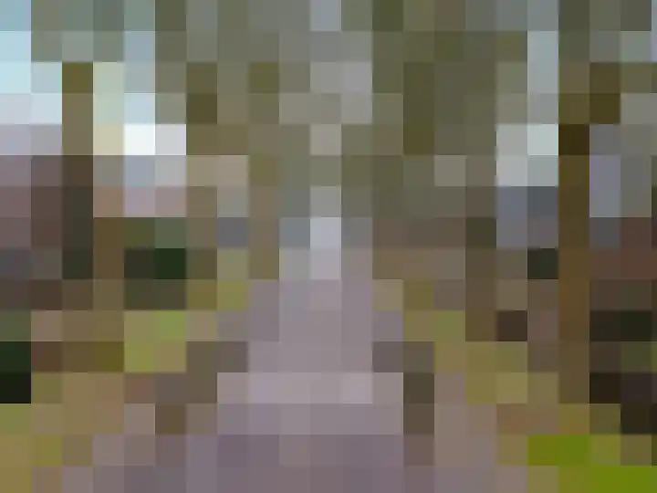 Dorpsstraat 16 Zwaag thumbnail 5