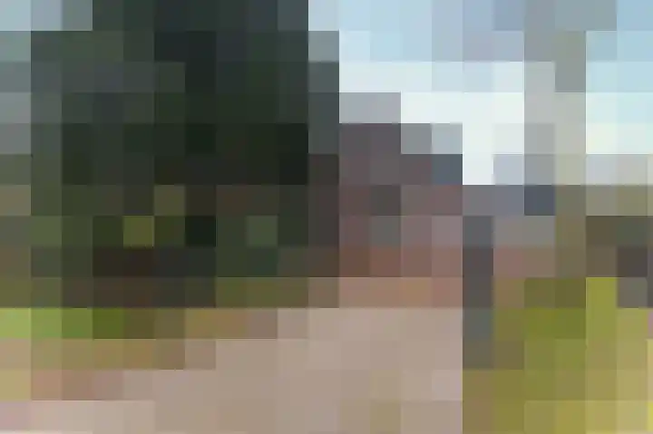Dorpsstraat 16 Zwaag thumbnail 7