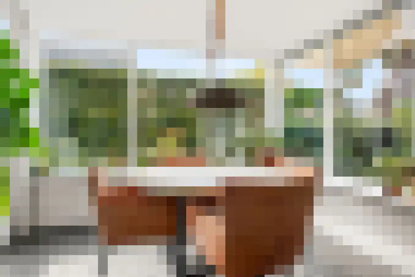 Dorpsstraat 160 Lunteren thumbnail 13