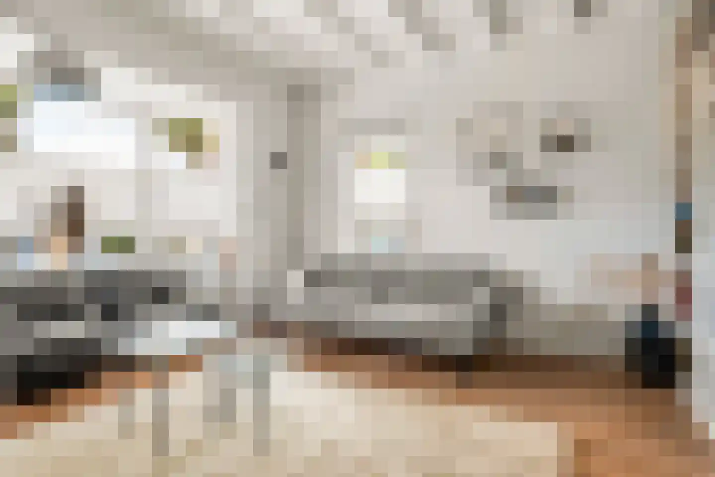 Dorpsstraat 160 Lunteren thumbnail 18