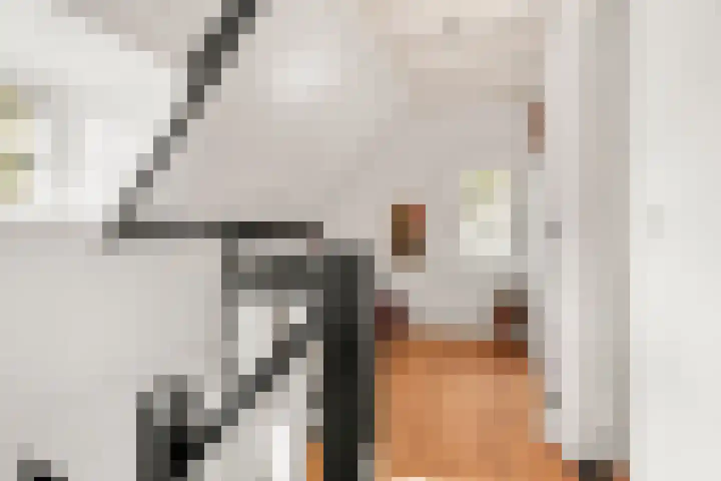 Dorpsstraat 160 Lunteren thumbnail 29