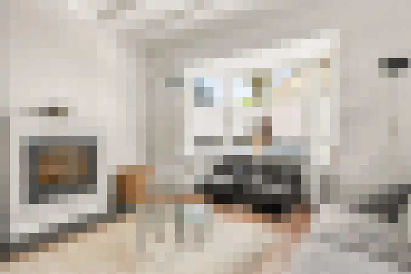 Dorpsstraat 160 Lunteren thumbnail 6
