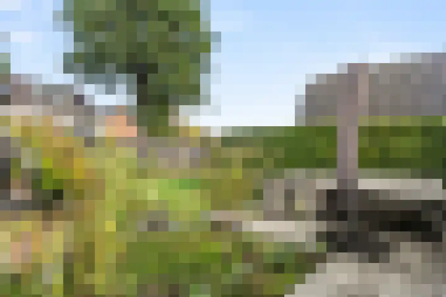 Dorpsstraat 160 Lunteren thumbnail 7