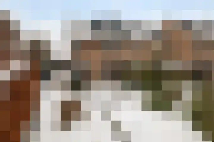 Dorpsstraat 161 Harskamp thumbnail 33