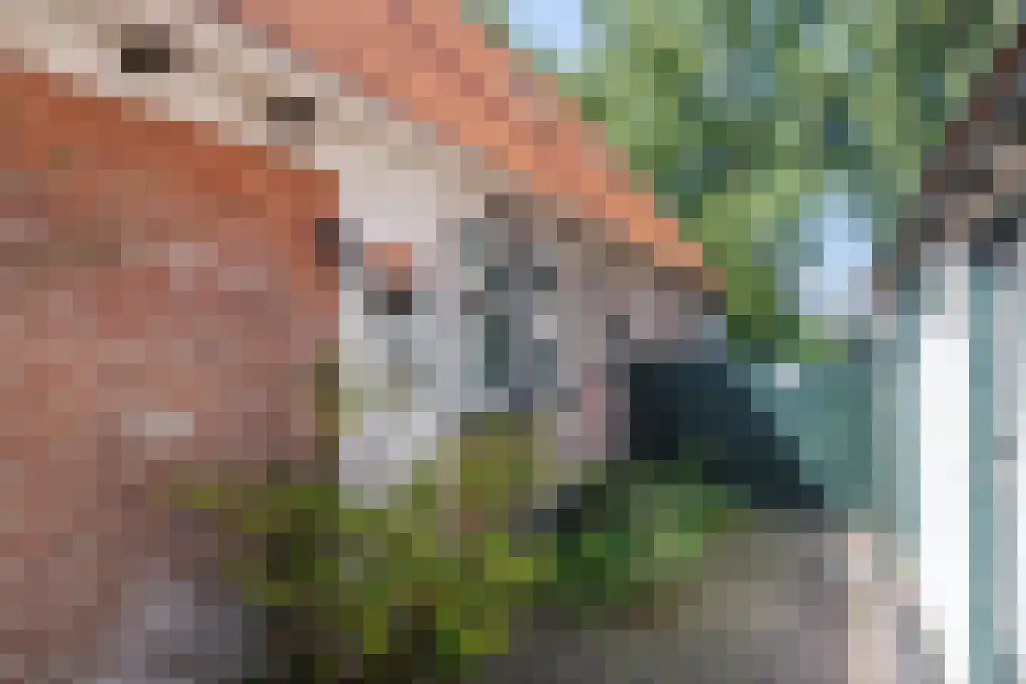 Dorpsstraat 163 Broek op Langedijk thumbnail 33
