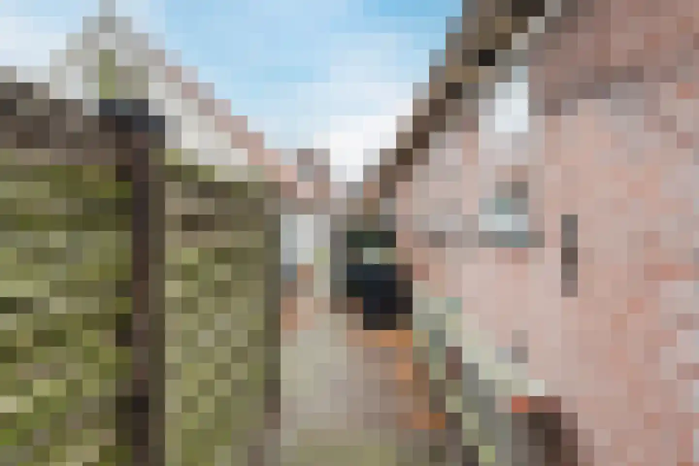 Dorpsstraat 163 Broek op Langedijk thumbnail 35