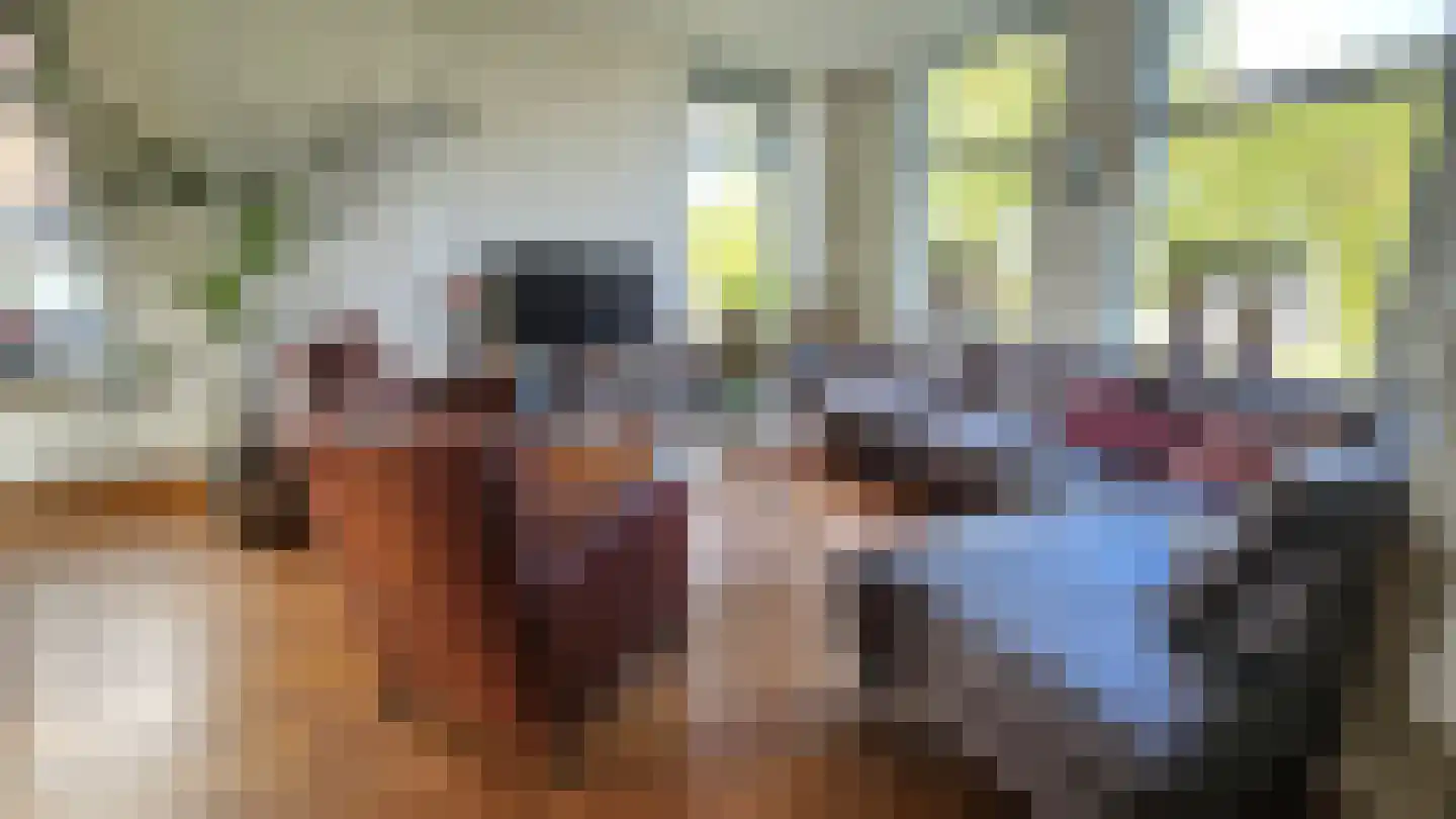 Dorpsstraat 167 Assendelft thumbnail 7