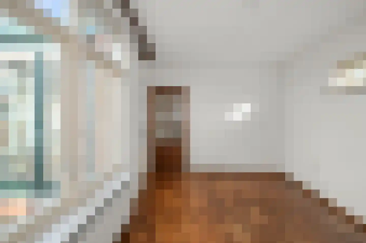 Dorpsstraat 169 Assendelft thumbnail 11