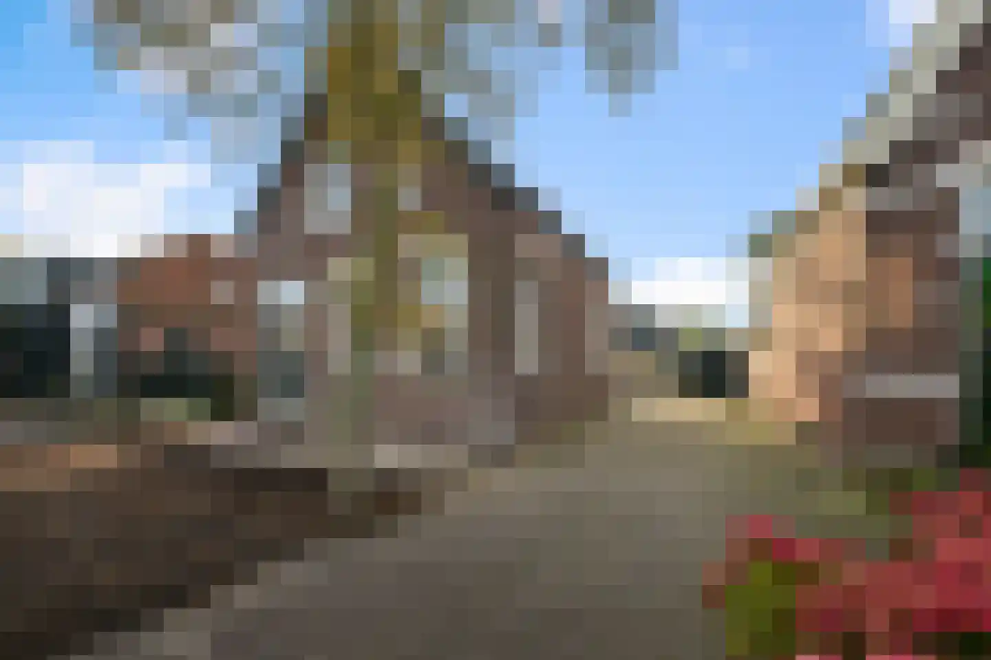 Dorpsstraat 169 Assendelft thumbnail 31