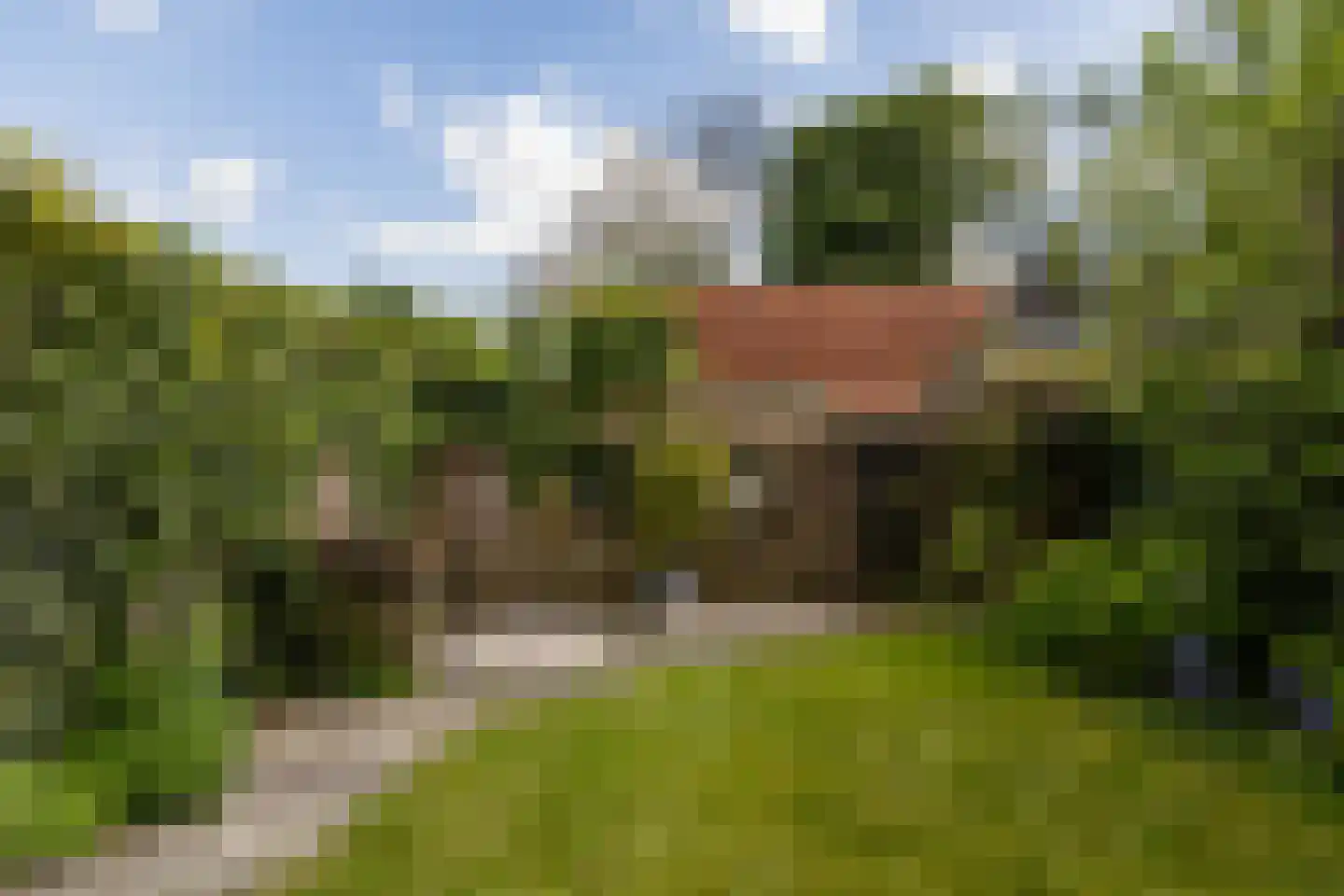 Dorpsstraat 169 Nieuwe Niedorp thumbnail 19