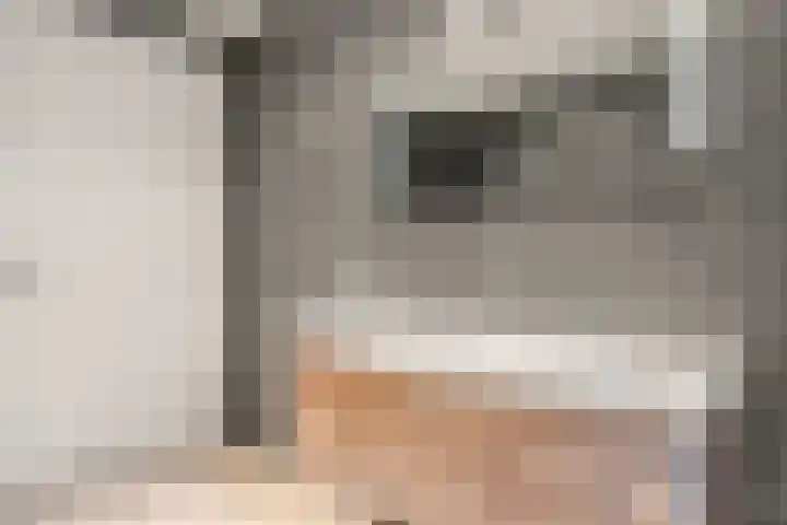 Dorpsstraat 17 B Lunteren thumbnail 26
