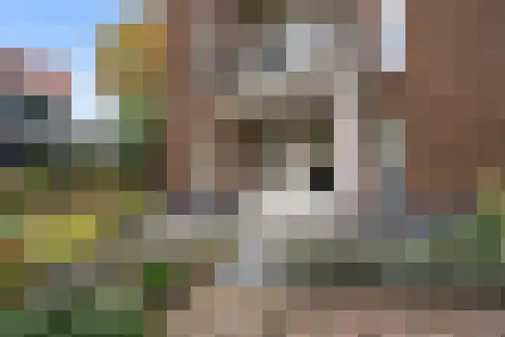 Dorpsstraat 17 B Lunteren thumbnail 31