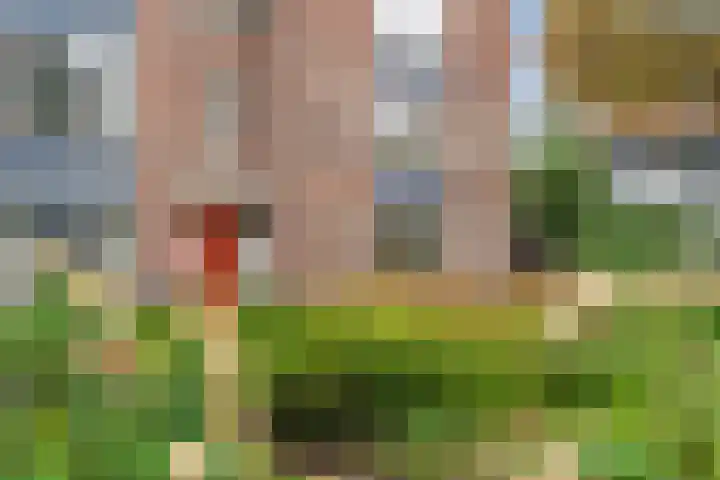 Dorpsstraat 17 B Lunteren thumbnail 4