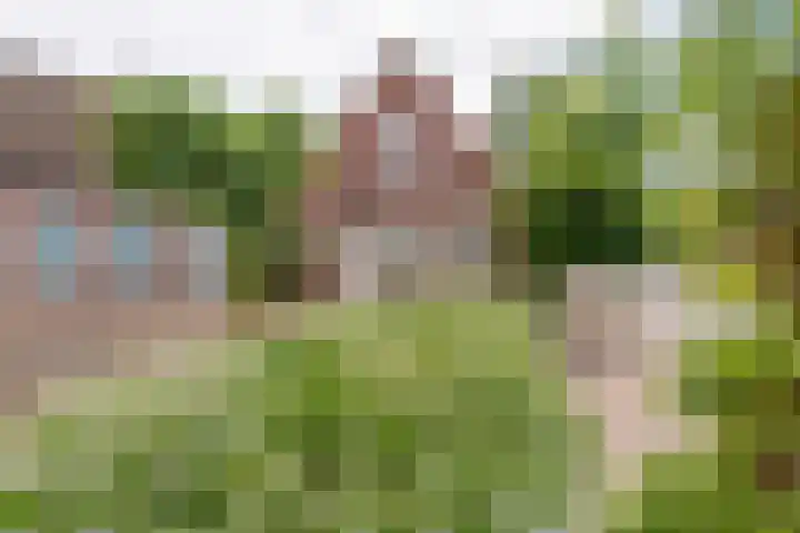 Dorpsstraat 17 E Esbeek thumbnail 42