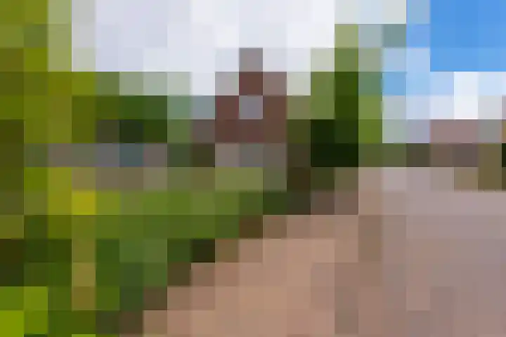Dorpsstraat 17 E Esbeek thumbnail 43