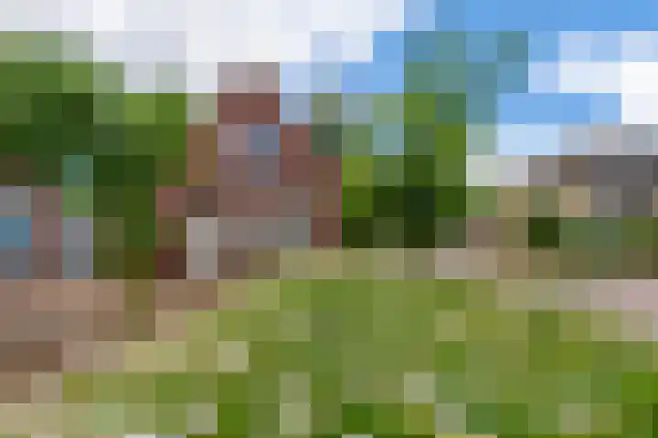 Dorpsstraat 17 E Esbeek thumbnail 44