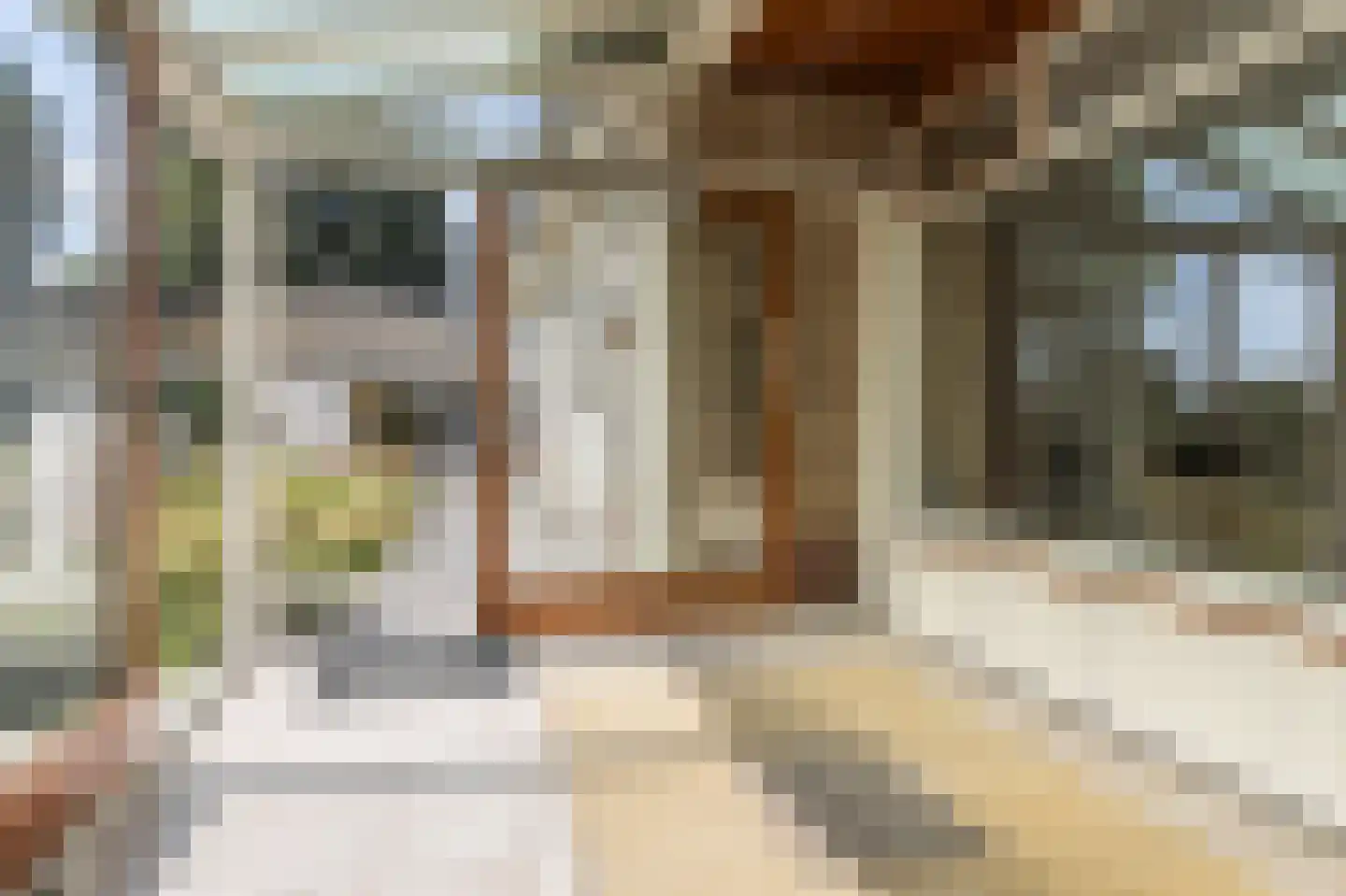 Dorpsstraat 17 Hurwenen thumbnail 22