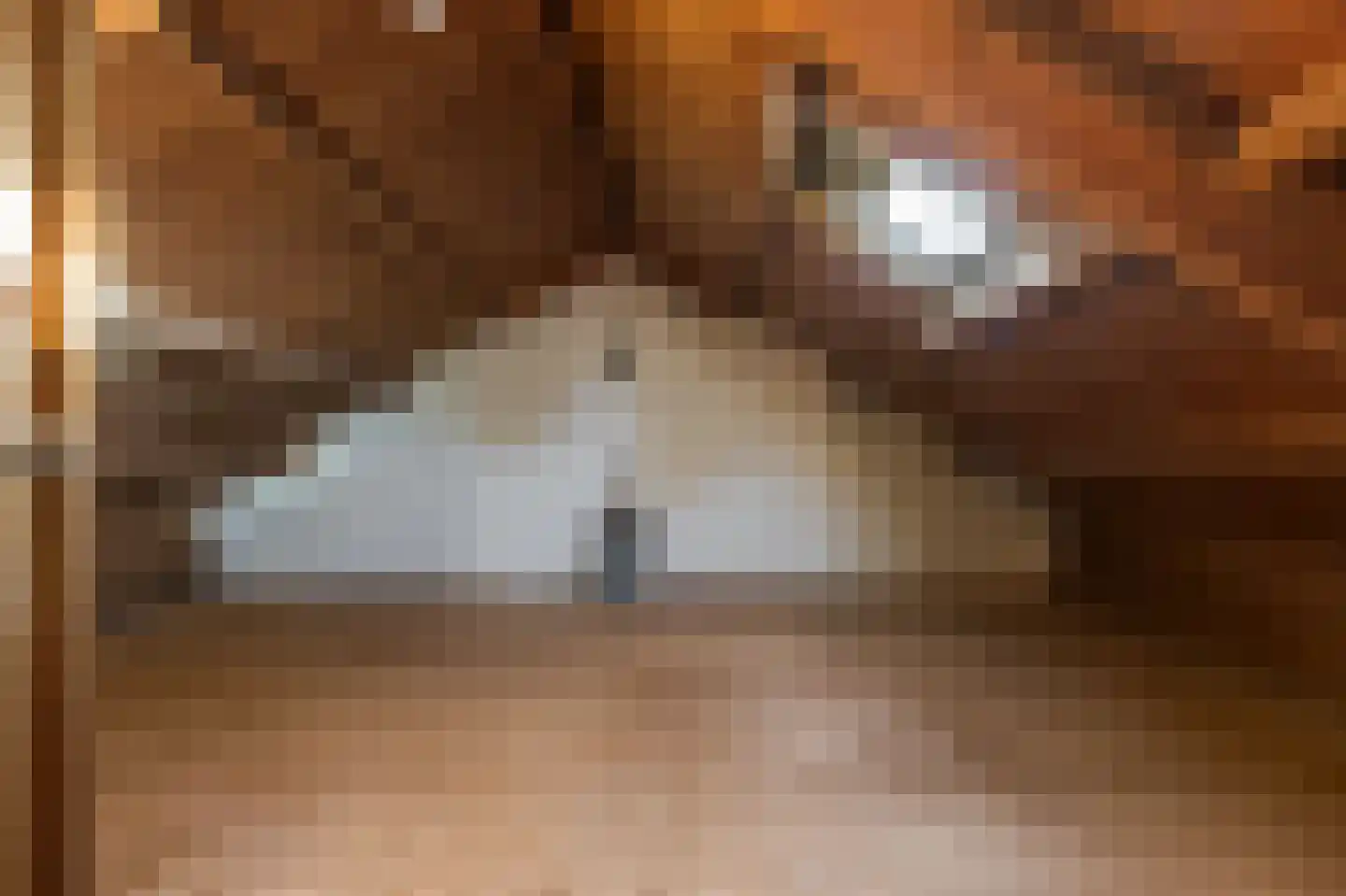Dorpsstraat 17 Hurwenen thumbnail 34