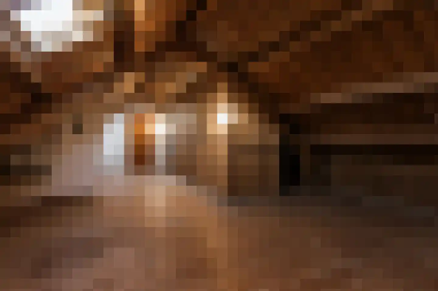 Dorpsstraat 17 Hurwenen thumbnail 35
