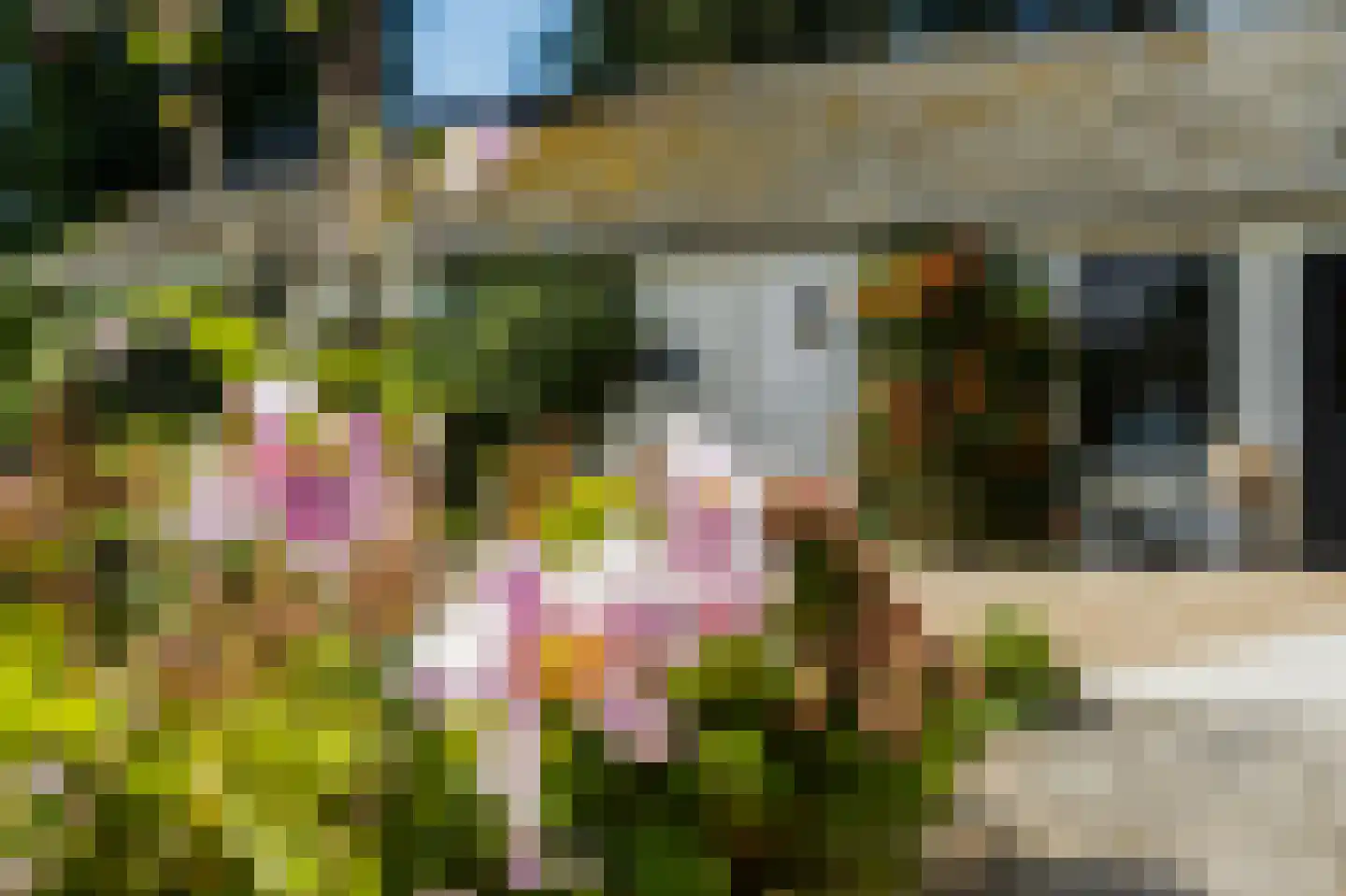 Dorpsstraat 17 Hurwenen thumbnail 50