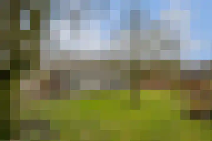 Dorpsstraat 17 Ledeacker thumbnail 48
