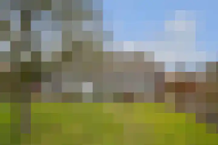 Dorpsstraat 17 Ledeacker thumbnail 49